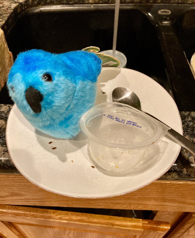 This image has an empty alt attribute; its file name is fullsizeoutput_13b4.jpeg